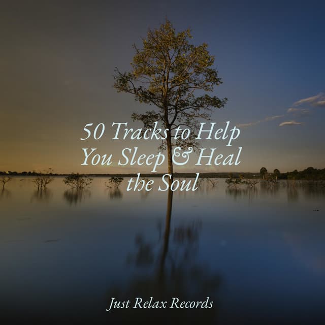 50 Tracks to Help You Sleep & Heal the Soul - Ambiente