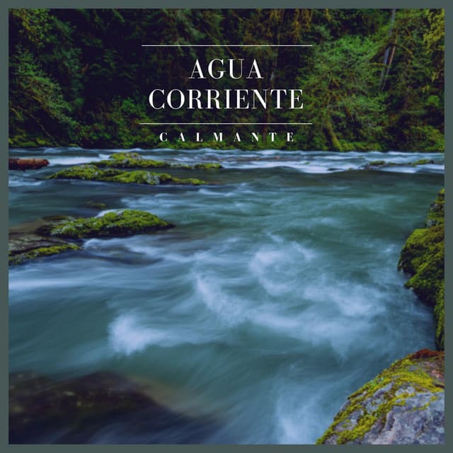 Agua Corriente Calmante - Especialistas de Musica para Dormir