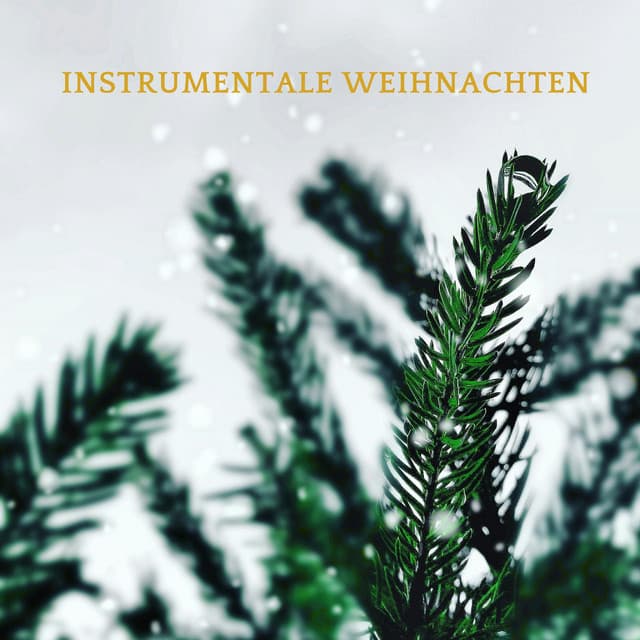 Instrumentale Weihnachten - Adolphe Adam