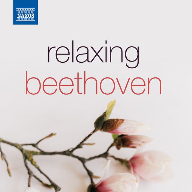 Relaxing Beethoven - Ludwig van Beethoven