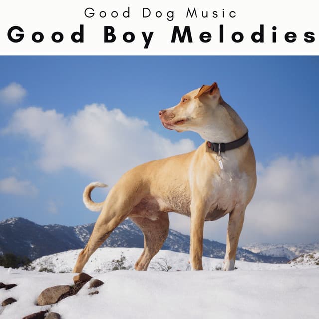 4 Dogs: Good Boy Melodies - Good Dog Music