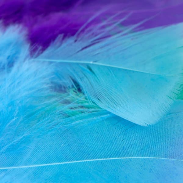 Quartet Jazz - Music for Jazzy Nature - Reading Music Deluxe