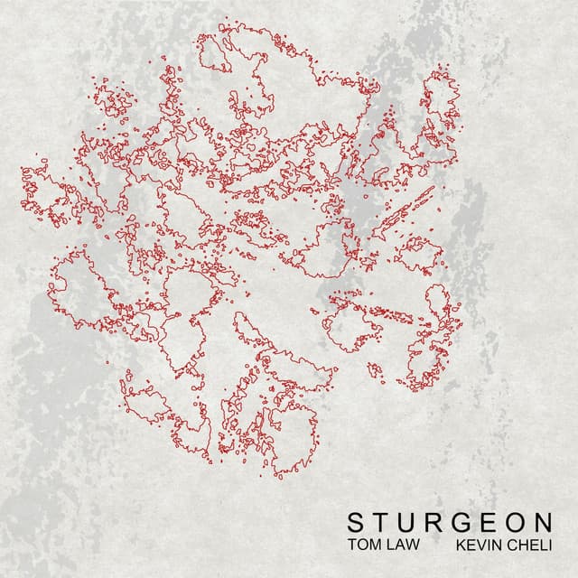 Sturgeon - Kevin Cheli
