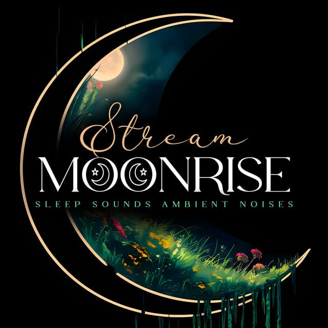 Stream Moonrise - Sleep Sounds Ambient Noises