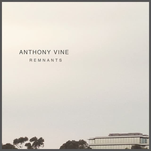 Remnants - Anthony Vine