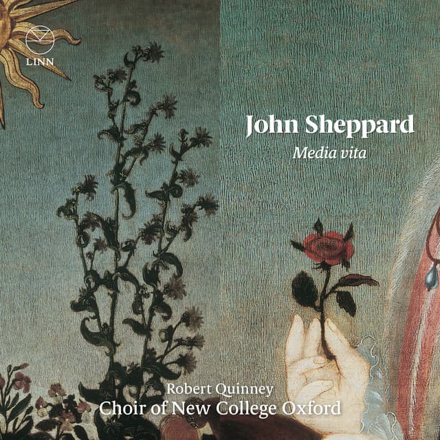 Sheppard: Media vita - John Sheppard