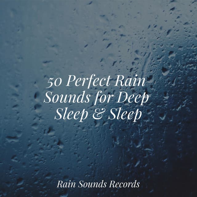 50 Perfect Rain Sounds for Deep Sleep & Sleep - Canción de Cuna