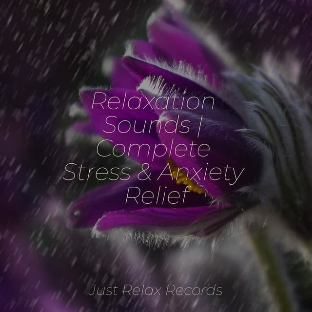 Relaxation Sounds | Complete Stress & Anxiety Relief - Sleepy Night Music