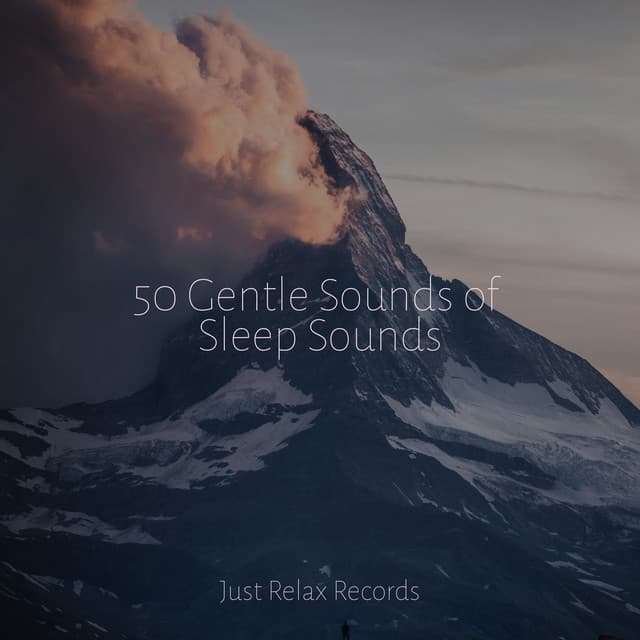 50 Gentle Sounds of Sleep Sounds - Musica Romantica Ensemble