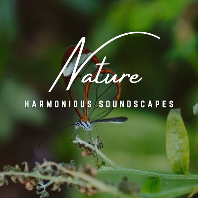 Acoustic Serenity: Harmonious Soundscapes - Spirits Of Our Dreams