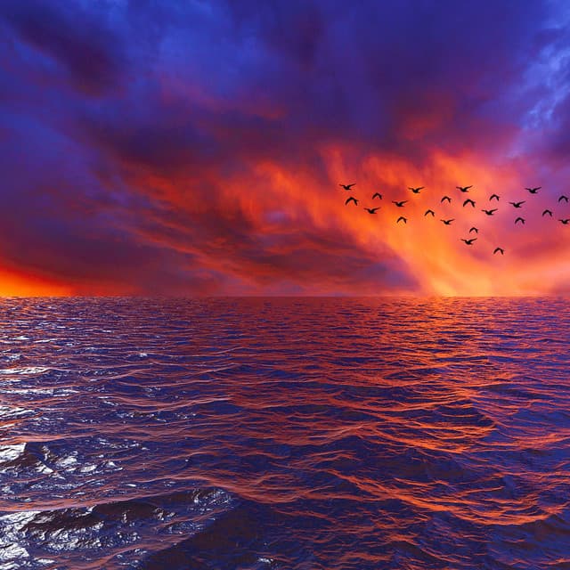 1 Coastal Night: Past The Horizon - Sea Waves Sounds