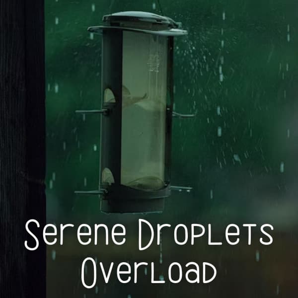 Serene Droplets Overload - Weather and Nature Recordings