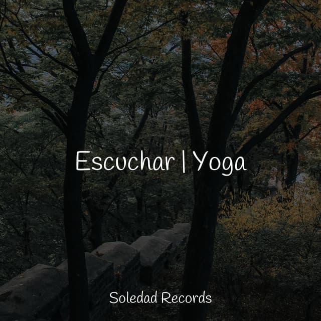 Escuchar | Yoga - Mantra para Dormir