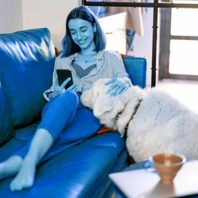 Music for Unwinding Doggo - Dog Sleeping Soundtracks Deluxe