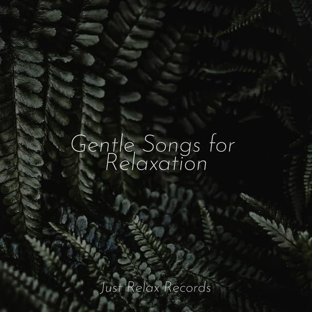 Gentle Songs for Relaxation - Powerthoughts Meditation Club