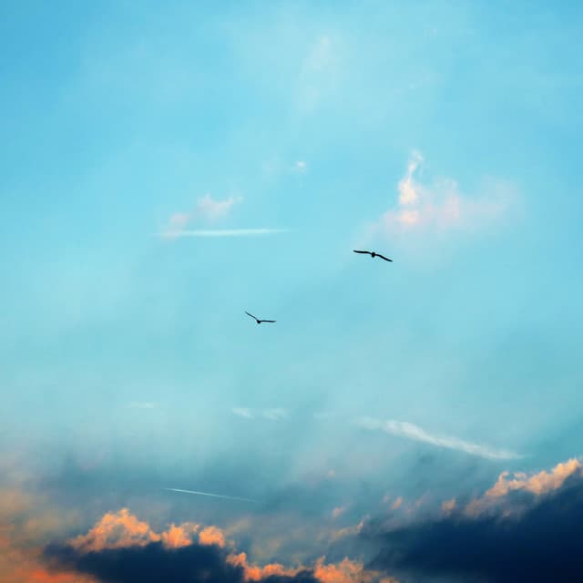 Calm in Winter Chillout Compilation - Sleep Sounds of Nature