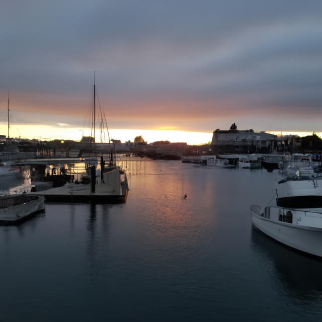 Harbor at Dusk - Asian Lofi