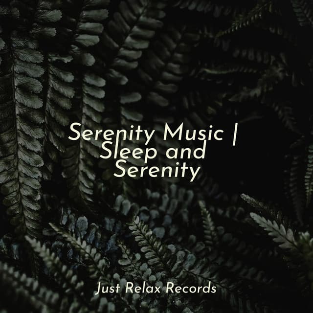 Serenity Music | Sleep and Serenity - Preschool Kids