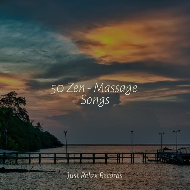 50 Zen - Massage Songs - Deep Sleep Relaxation