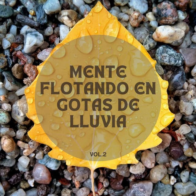 Matices espirituales de la lluvia Vol.2 - Sonidos de la selva tropical