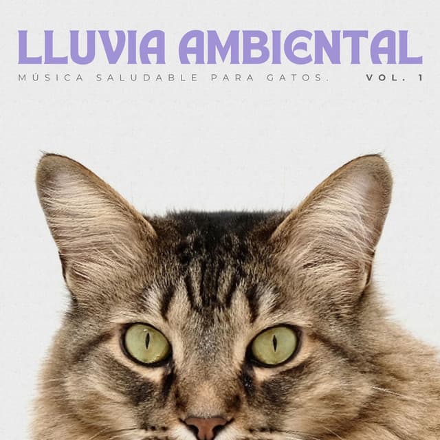Lluvia Ambiental: Música Saludable Para Gatos Vol. 1 - Ejemplo de biblioteca de lluvia
