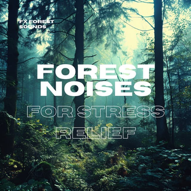 Forest Noises for Stress Relief - FX Forest Sounds