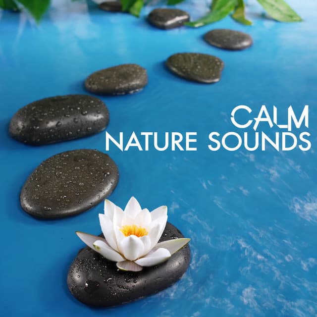 Calm Nature Sounds - Ambiance nature