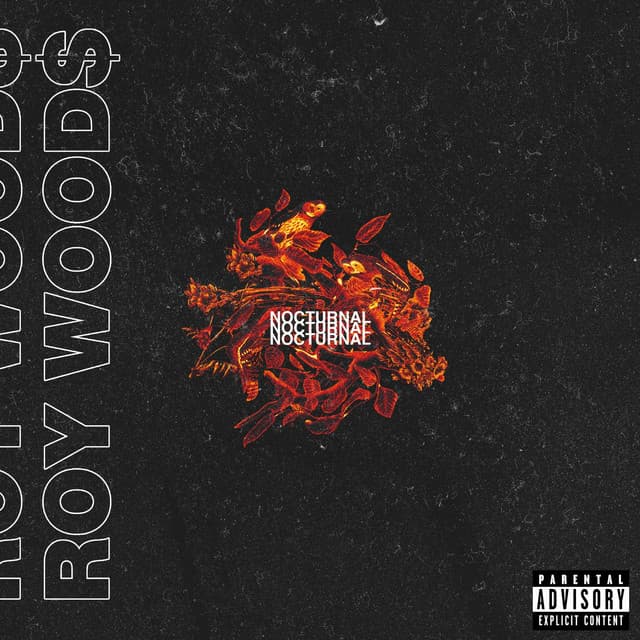 Nocturnal - Roy Woods