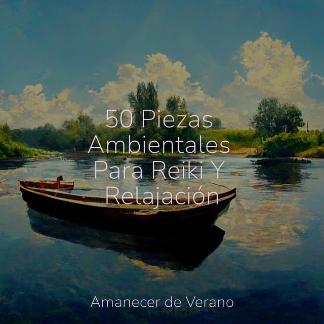 50 Piezas Ambientales Para Reiki Y Relajación - Meditación Guiada