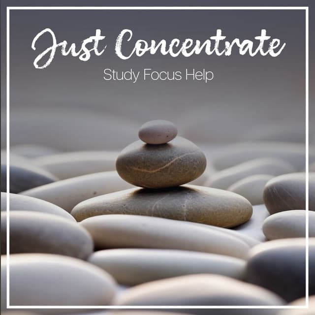 Just Concentrate - Study Focus Help