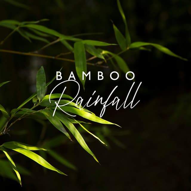 Bamboo Rainfall - Jane Groud
