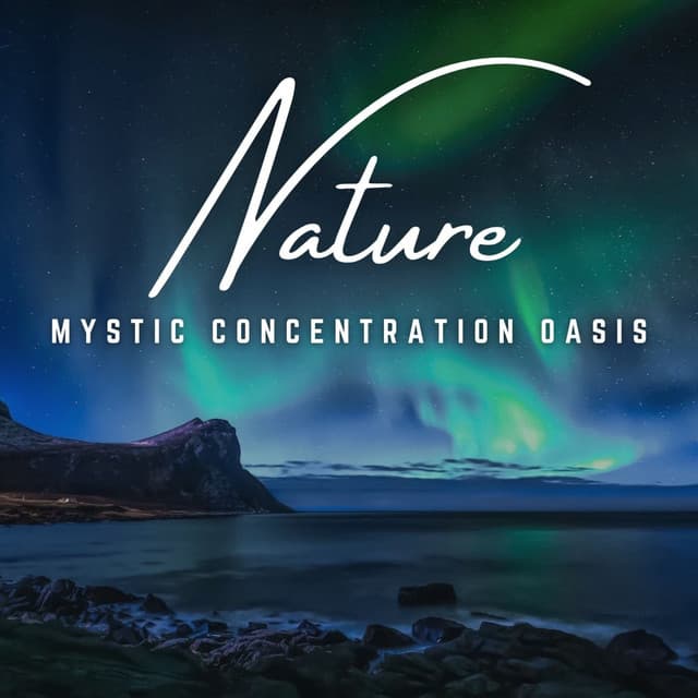 Gentle Night Concentration