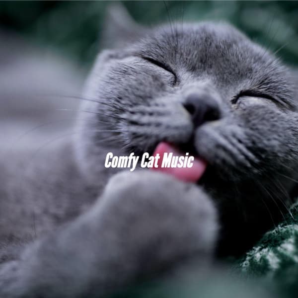 Comfy Cat Music - Smooth Jazz Deluxe