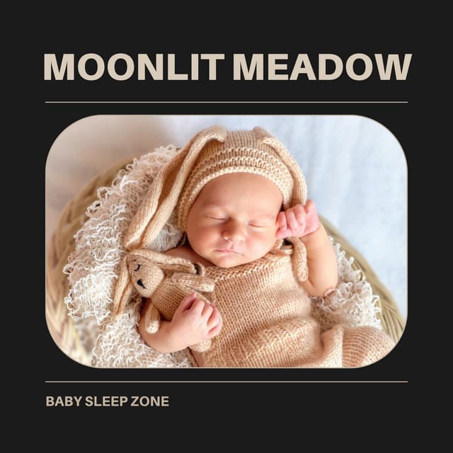 Moonlit Meadow: Instrumental Lullabies - Baby Sleep Zone