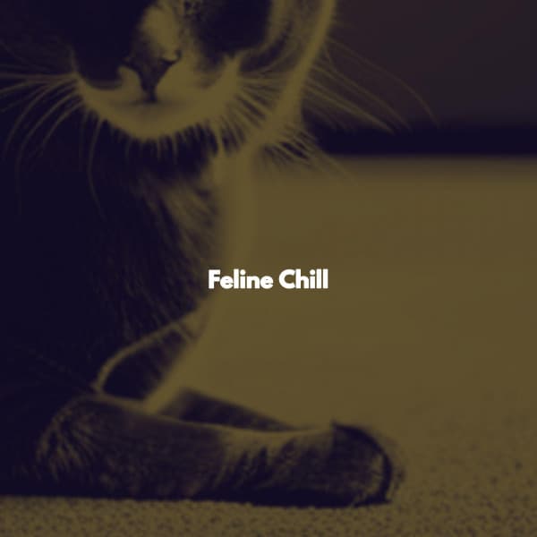 Feline Chill - Coffee Shop Piano