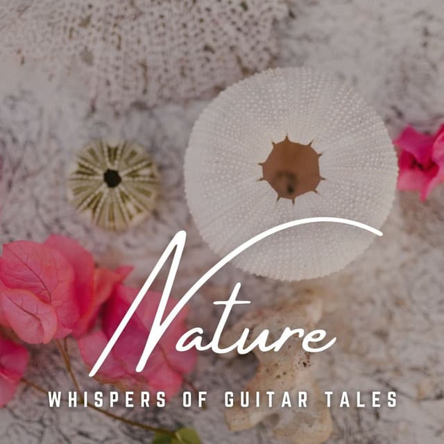 Guitar Tales: Acoustic Adventures - Lights of Kharma