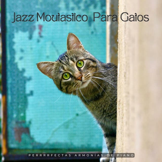 Perrrrfectas Armonías De Piano: Jazz Moutastico Para Gatos - Solo para gatos