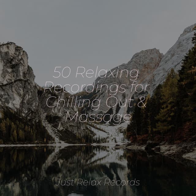 50 Relaxing Recordings for Chilling Out & Massage - Relaxamento