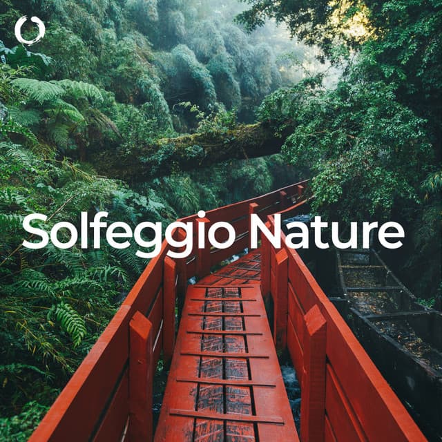 Solfeggio Dreams