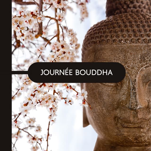 Journée Bouddha: Buddha Meditation Bar, Bols et cloches tibétains, Bien-être esprit, corps & âme - Buddhist méditation académie