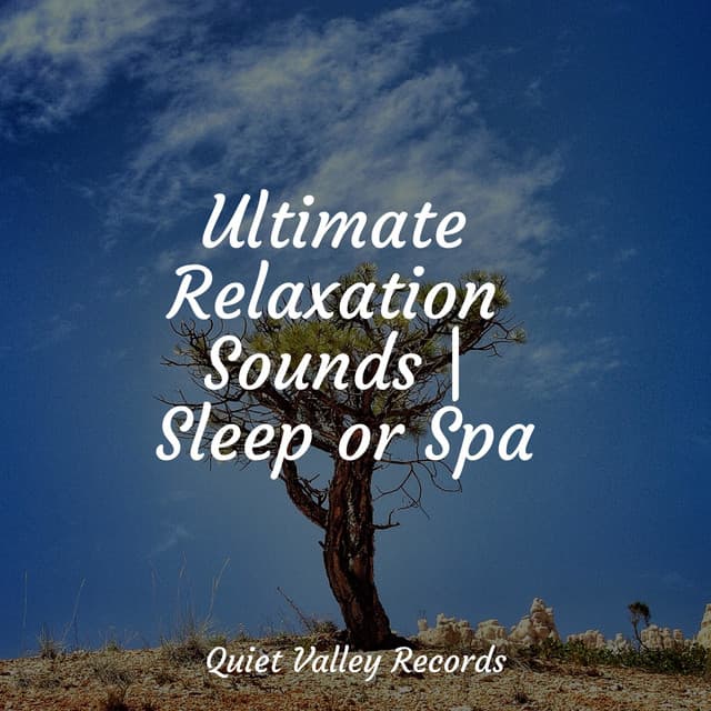 Ultimate Relaxation Sounds | Sleep or Spa - Tranquil Music Sound of Nature