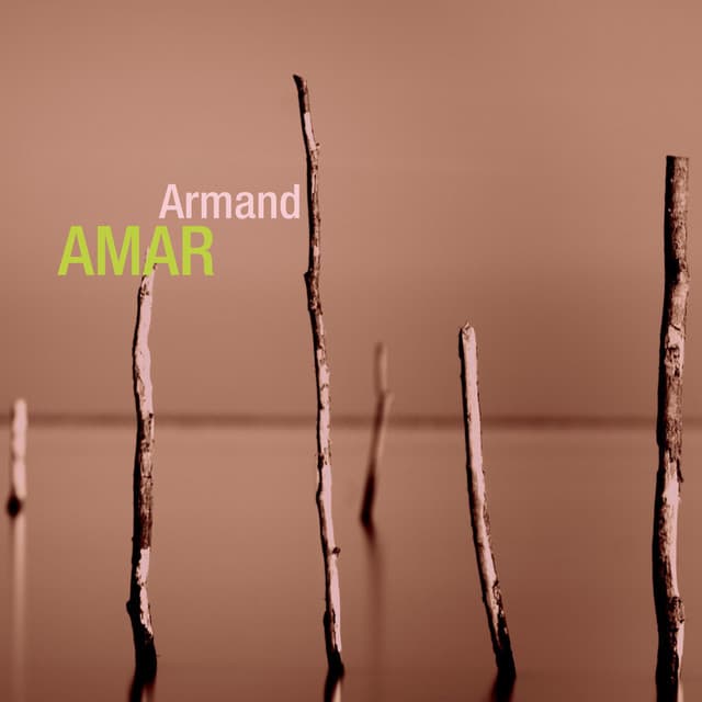 Retrospective - Armand Amar