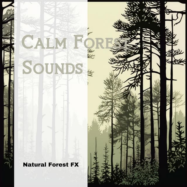Calm Forest Sounds - Natural Forest FX