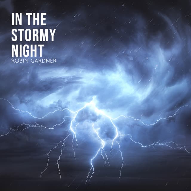 In the Stormy Night - Robin Gardner