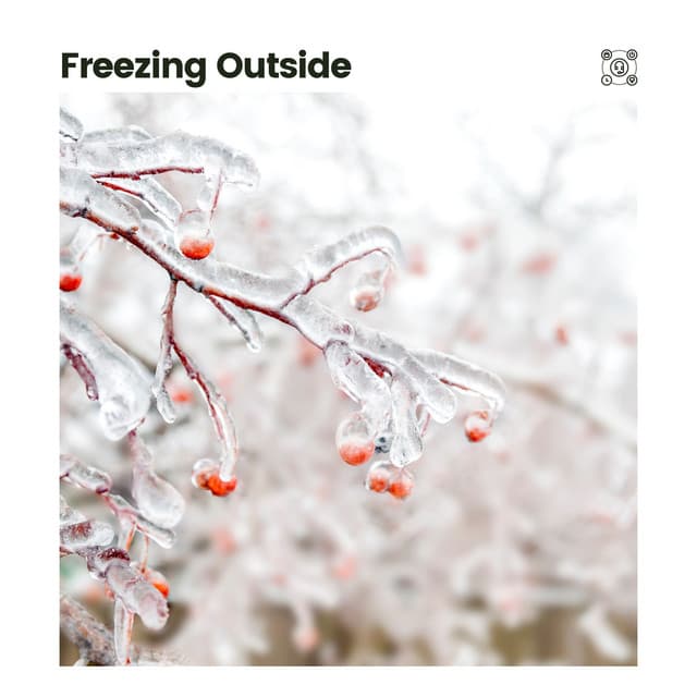 Freezing Outside - Rainforest Ambience