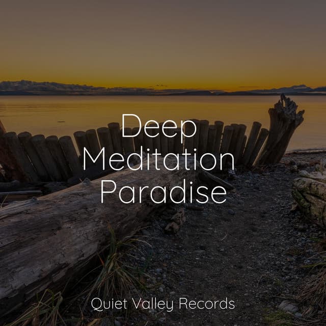 Deep Meditation Paradise - Children's Music