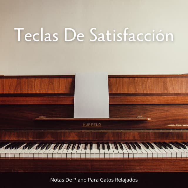 Teclas De Satisfacción: Notas De Piano Para Gatos Relajados - Piano Relajante
