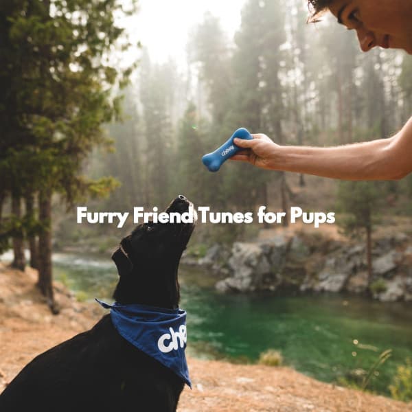 Furry Friend Tunes for Pups - Jazz Vibe Chill Out