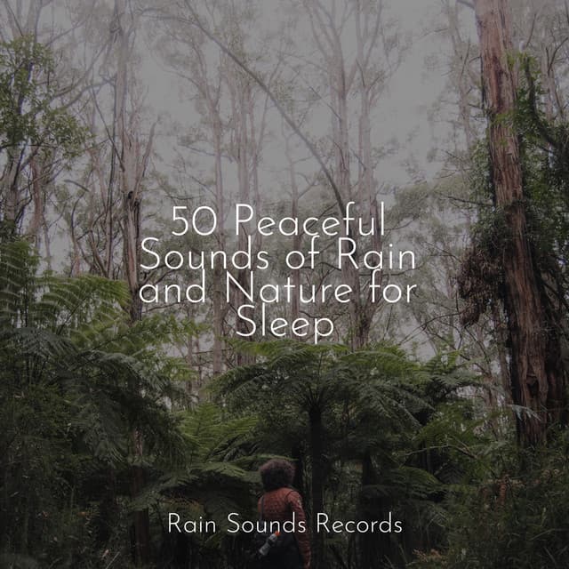 50 Peaceful Sounds of Rain and Nature for Sleep - Rest & Relax Nature Sounds Artists