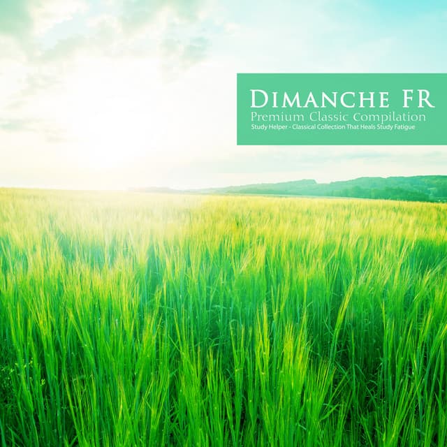 Classical Collection That Heals Study Fatigue - Dimanche FR